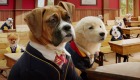 Pup Academy 2. sezon Netflix'te başladı! Yeni sezonda neler olacak?