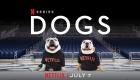 En iyi arkadaşlarımız geri döndü! Dogs 2. sezon Netflix'te!