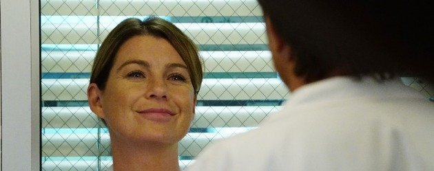 Grey's Anatomy 14. sezon onayını aldı