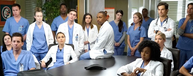 Grey's Anatomy 14. sezon için eski bir isim geri dönüyor!