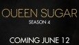 Queen Sugar 4. sezonda David Alan Grier sürprizi!