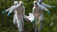 NBC'den salgın hastalık temalı yeni bir dizi yolda: Epidemic