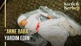 Kızılcık Şerbeti 19. Bölüm | Nursema hastaneye yetiştiriliyor!