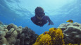 “Mercanlar İçin Mücadele” belgeseli Discovery ve discovery+’ta!