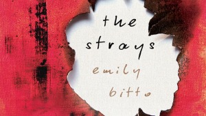 The Strays romanı dizi oluyor! The Strays nasıl bir dizi?