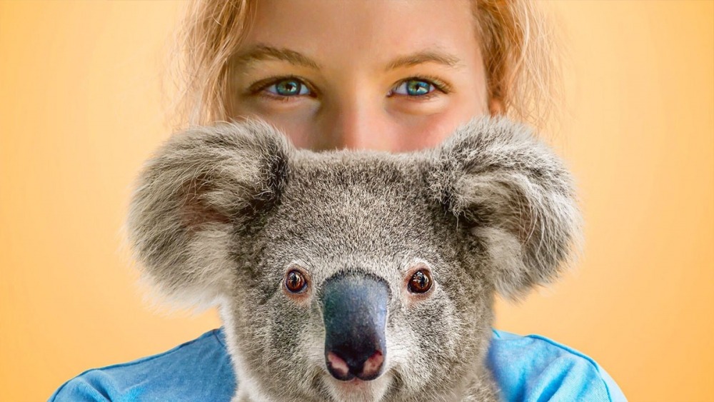 21-04/21/izzys-koala-world-foto.jpg