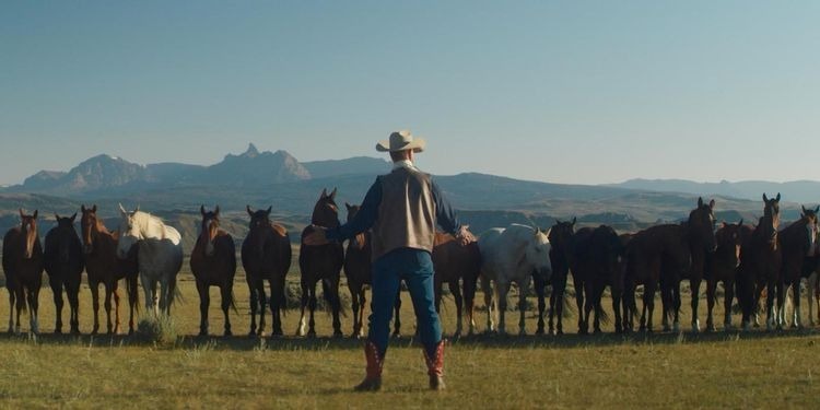 21-09/20/my-heroes-were-cowboys-foto-2.jpeg