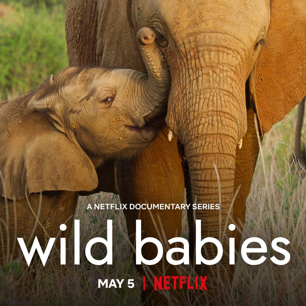 22-05/10/wild-babies-netflix-poster.jpeg